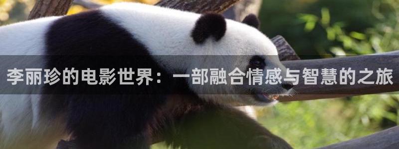 织金县星空影城
