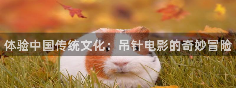星空视频电影在线看免费观看