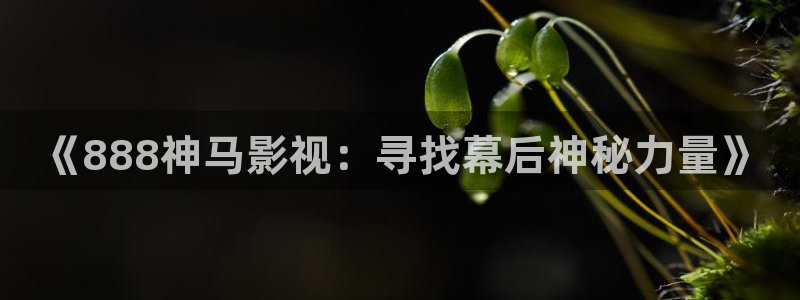 星空影院在线观看免费版电视剧全集