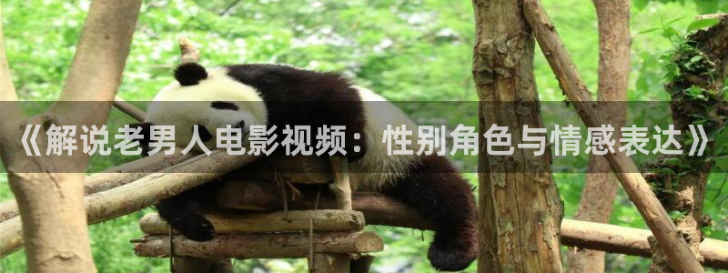 星空影院网免费