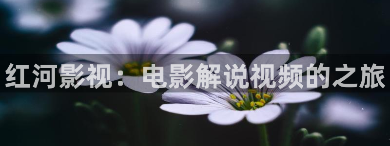 星空影院好看的电影电视剧免费