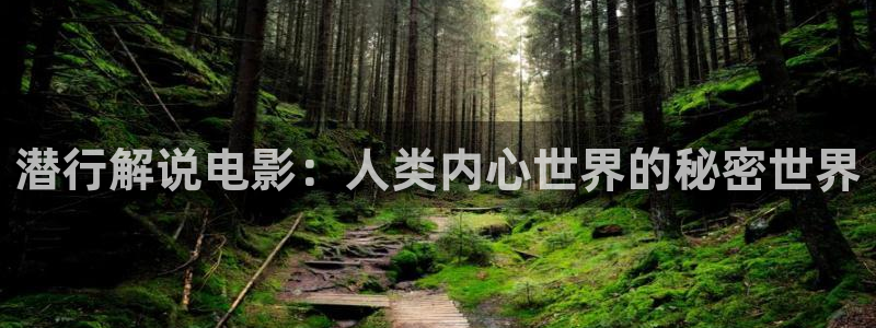 星空影院手机电视剧