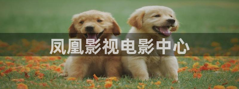 星空影视app下载