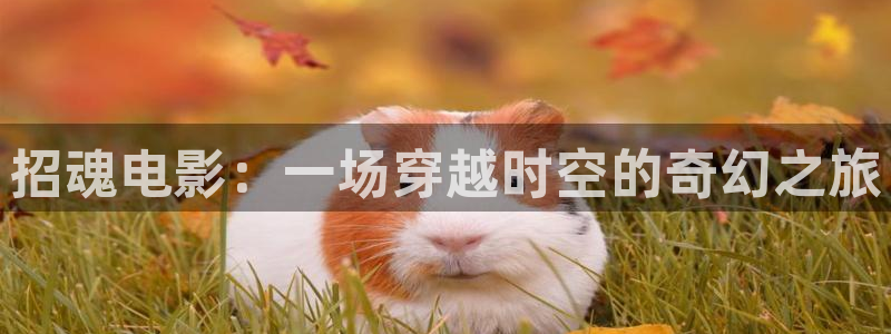 星空影视平台