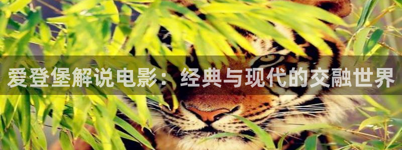 星空影院免费看全集
