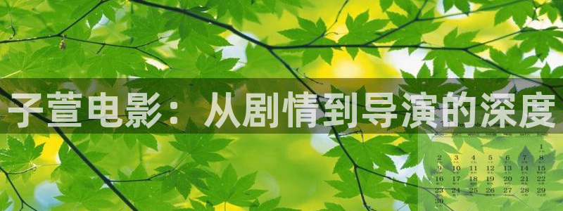 星空影视手机