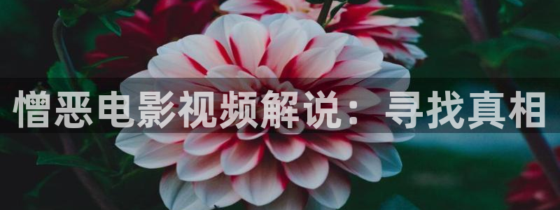 星空电影天堂