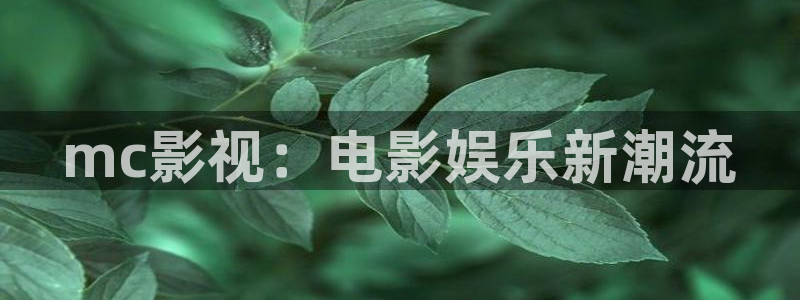 星空影院在线观看电视剧免费播放电视剧