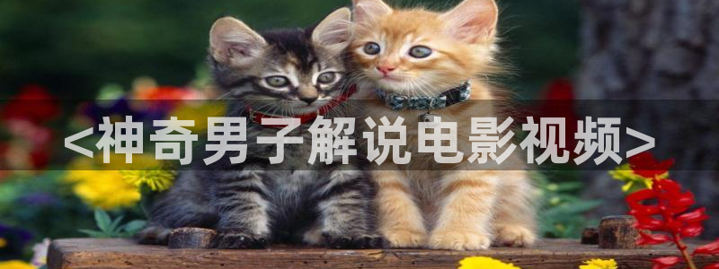星空在线播放电影