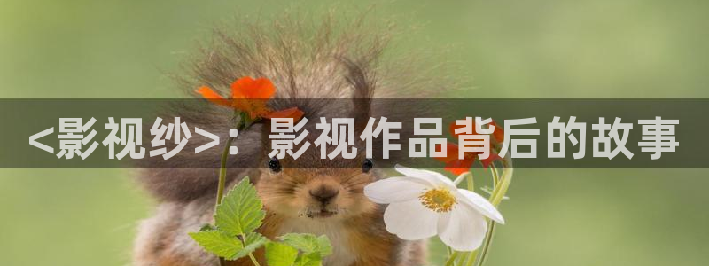 星空传媒影视mv免费