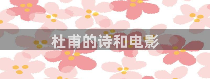 星空视频播放器
