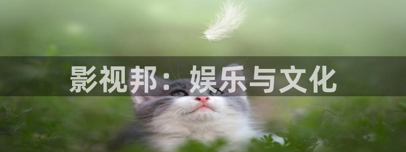 星空影院热播电视剧影视大全