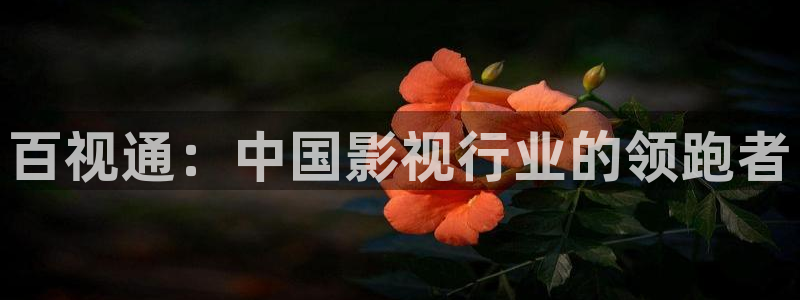 下载星空影视