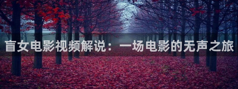 星空国际影城