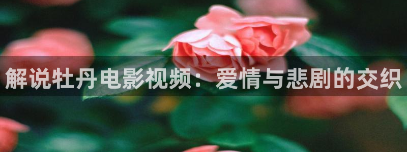星空电影在线观看免费完整版