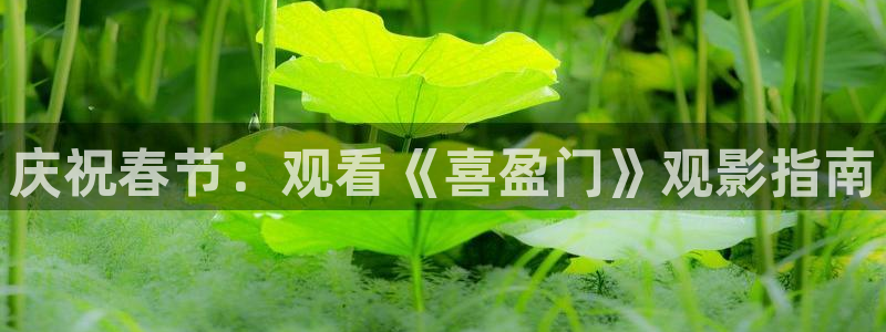 新闻图片